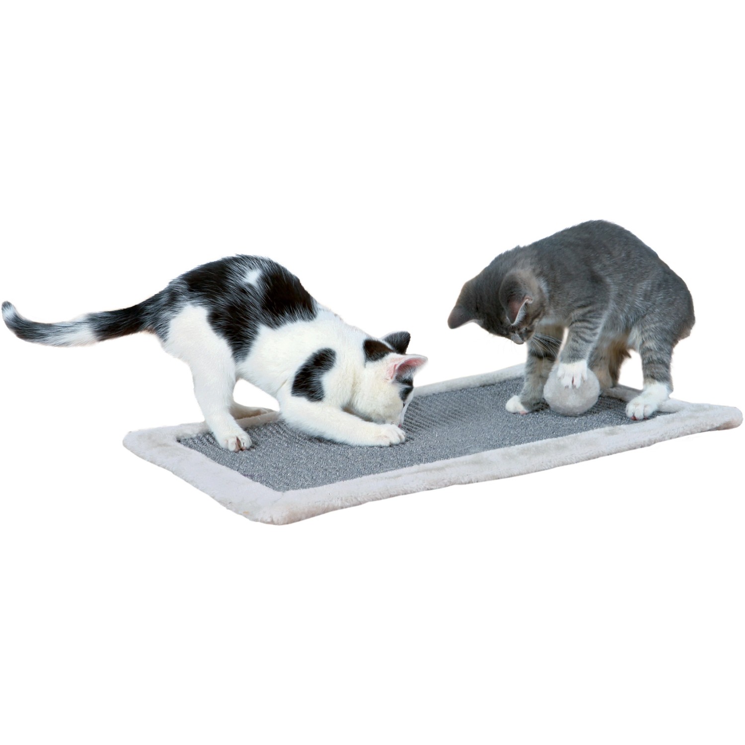 Trixie Kratzmatte mit Plüschrand, 55x35 cm, grau/hellgrau. Zwei Katzen spielen auf der Kratzmatte.