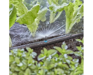 Dreyoo 1000-Loch Wasserdüse, 11 GPM, Mit PTFE-Band, Für Zarte Pflanzen, Blumen, Gewächshaus, Kindergarten
