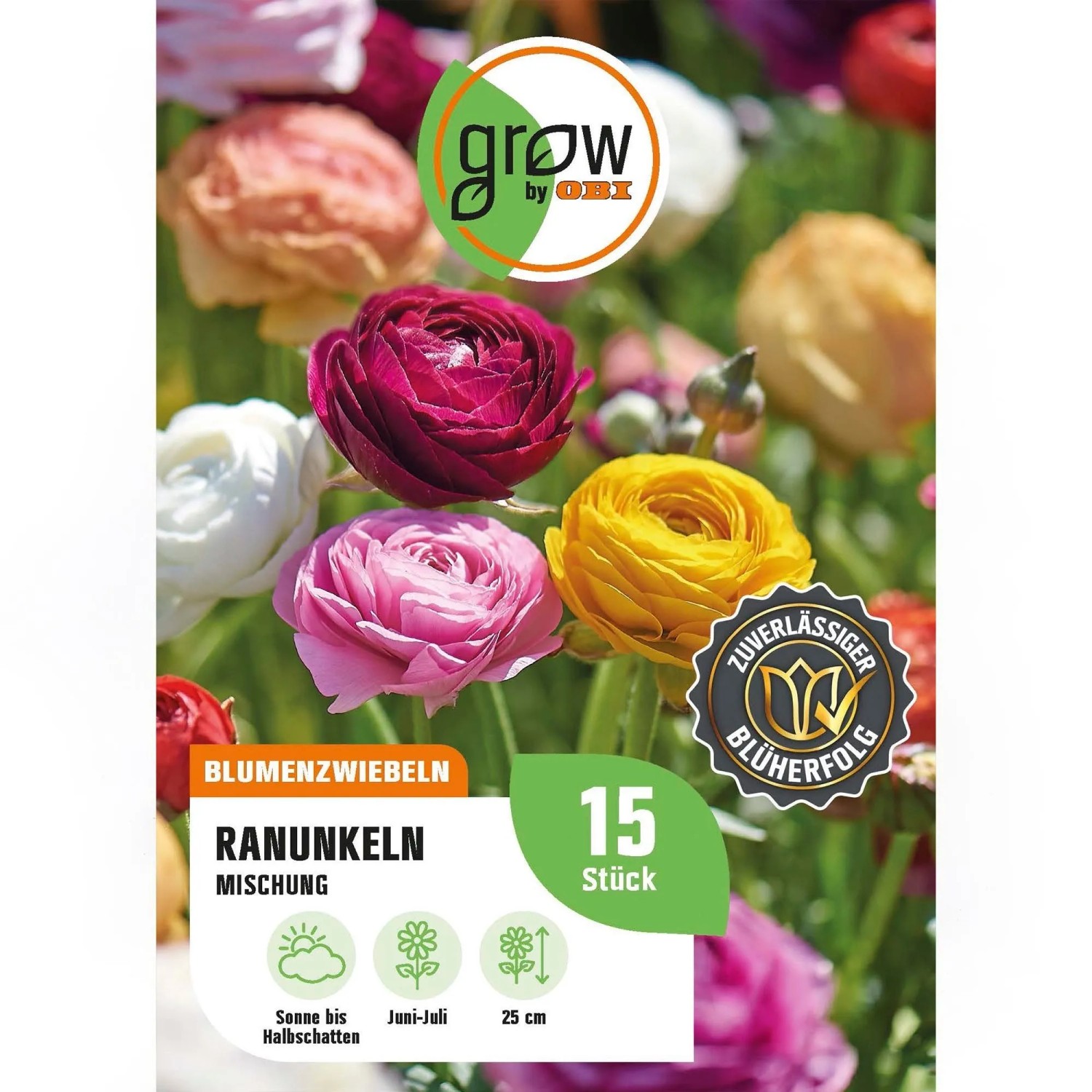 GROW by OBI Ranunkeln Mischung 15 Stück  Ranunculus asiaticus Mixed