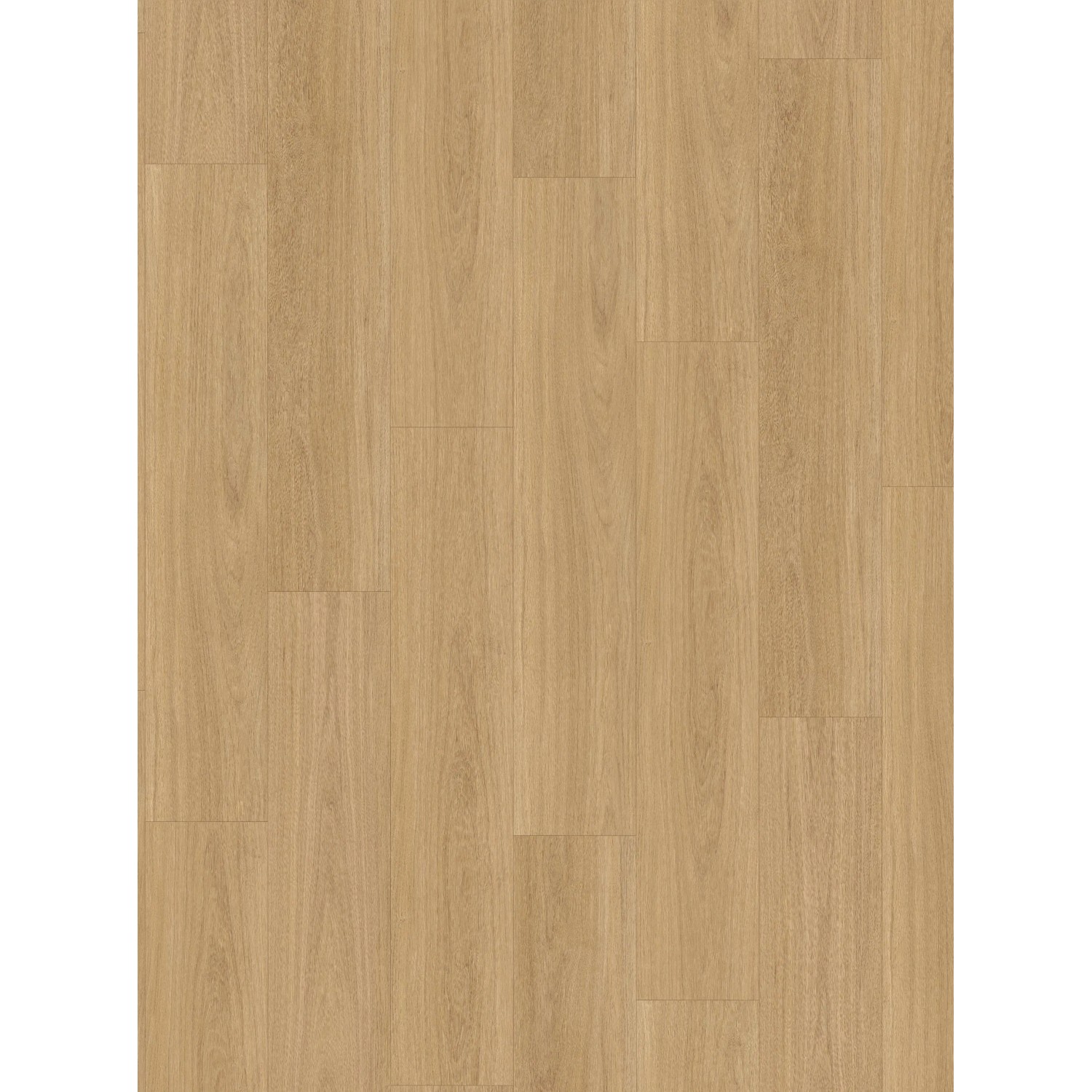 Parador Click-Vinylbodenmuster Basic 5.3 Eiche Elaris Natur