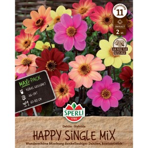 Sperli Dahlie Happy Single Mix: Dahlien-Blüten in Gelb, Rosa, Rot und Orange.