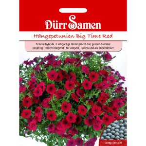 Dürr Samen Petunien Big Time Red, einjährige Blumensamen für Balkon und Garten.