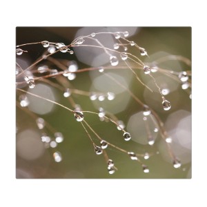 Banjado Glas Herdabdeckplatte mit Tau-Motiv, 60x52cm, auch als Schneidebrett nutzbar.