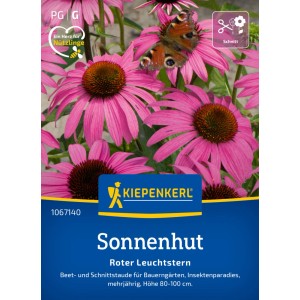 Kiepenkerl Sonnenhut Roter Leuchtstern mit Schmetterling auf pinkfarbener Blüte.