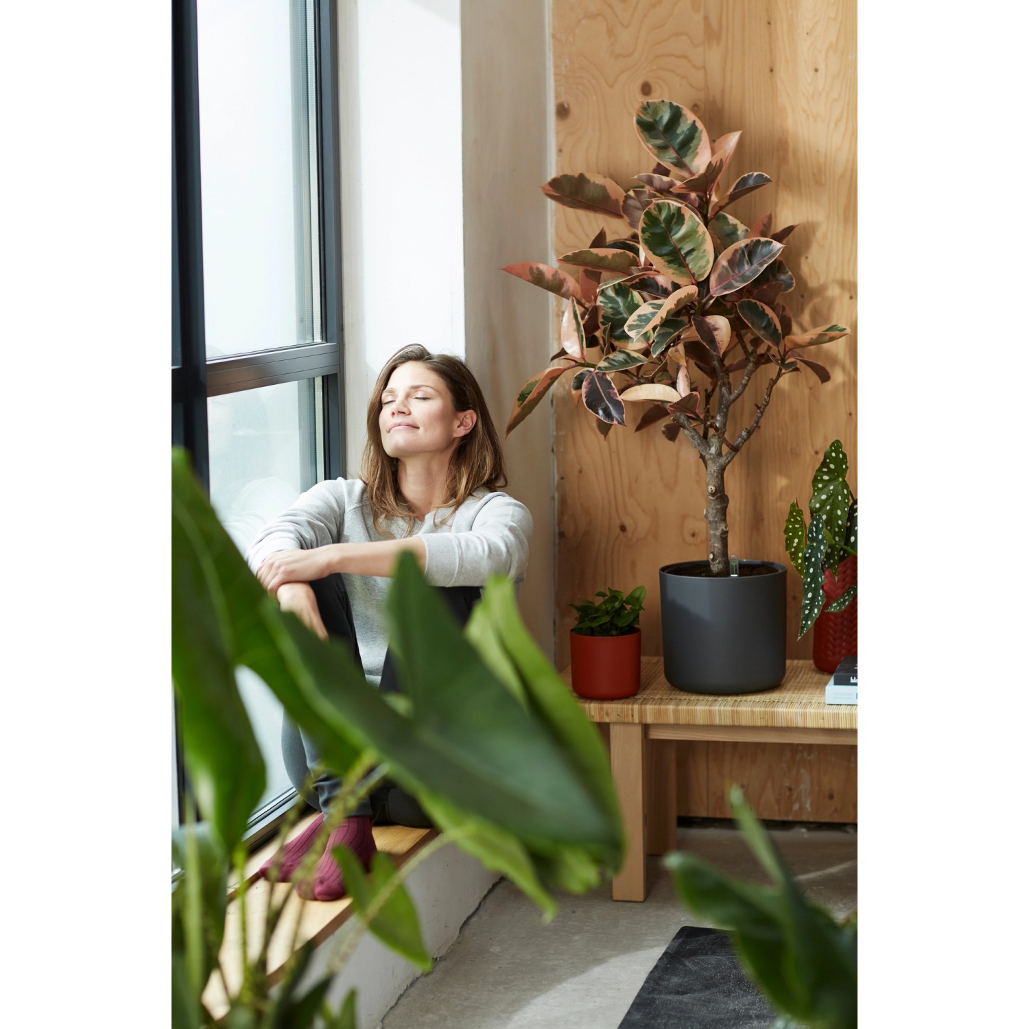 Anthrazitfarbener Elho Blumentopf B.For Soft Rund (Ø 16 cm) mit Pflanze in Wohnraum-Szene.