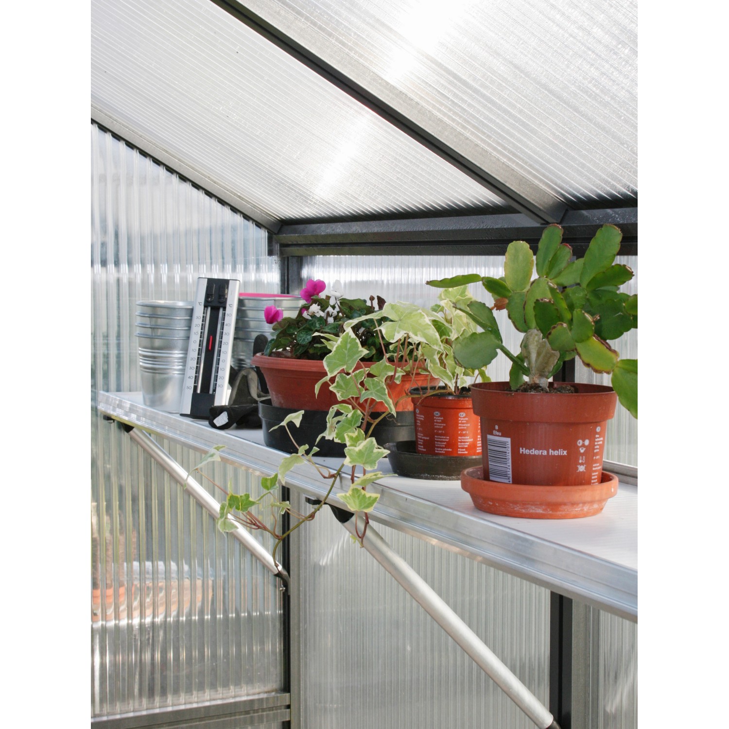 KGT Hängebord Rhodo III, Alu blank, 26 cm tief, mit Pflanzen im Gewächshaus.