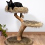 Dobar Design Katzenmöbel Jimmy mit schwarzer Katze auf flauschiger Liegefläche.