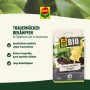 Compo BIO Trauermückenfänger, 5 Stück: Insektizidfreie Leimfalle gegen Trauermücken für Zimmerpflanzen.