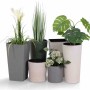 Verschiedene Pflanzgefäße der Serie Eco Lens von Siena Garden in diversen Farben und Größen.