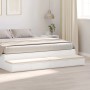 vidaXL Bettschubladen Weiß 180 x 36,5 x 16,5 cm Holzwerkstoff 866979_2
