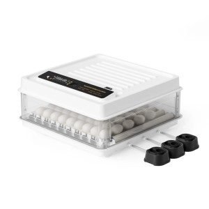 Fudajo Vollautomatischer Flächenbrüter Brutmaschine 64 Eier Inkubator Hühner