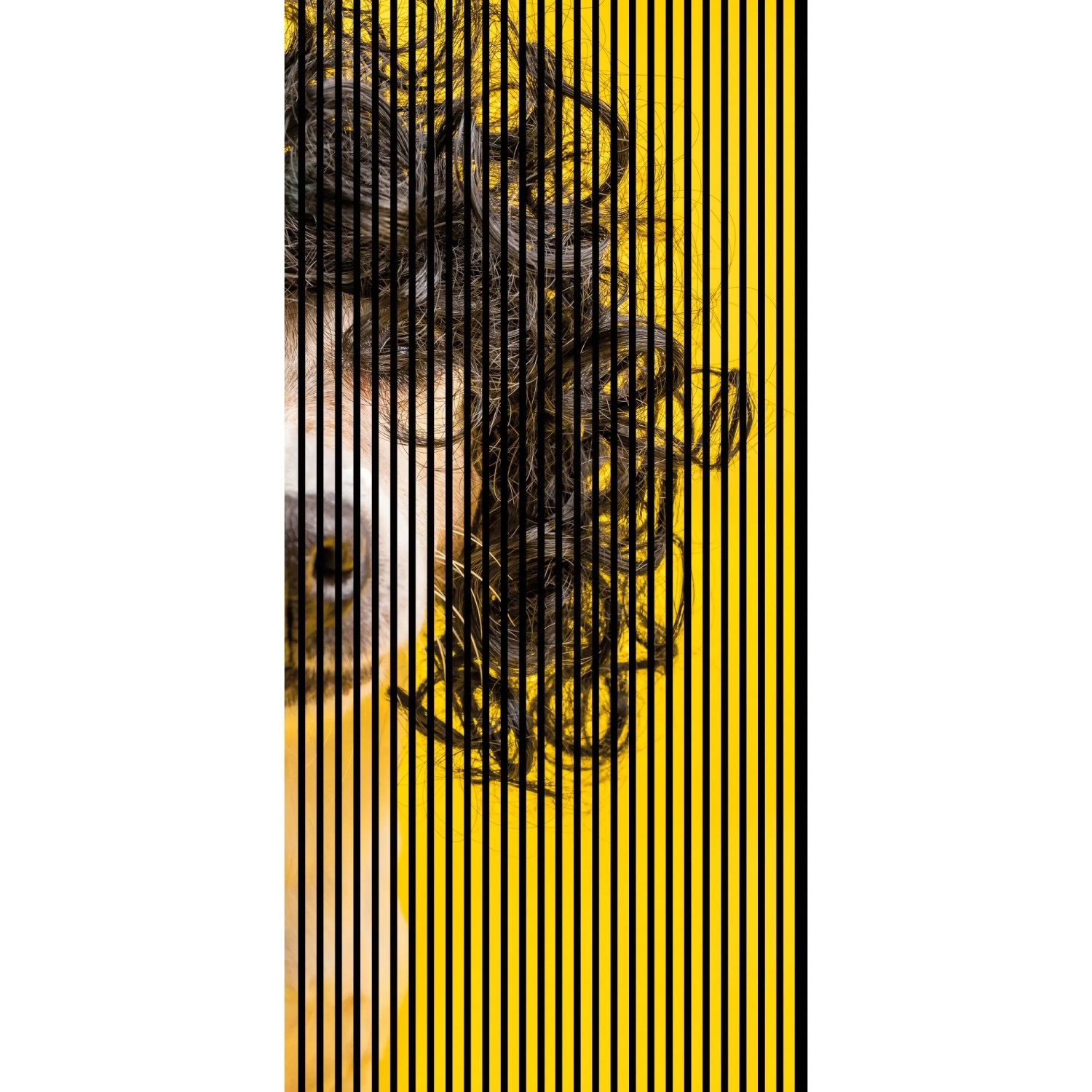 FN Acustico Akustikplatte Dog 2 PET u. MDF Foliert 1.133 x 19 x 2.400 mm
