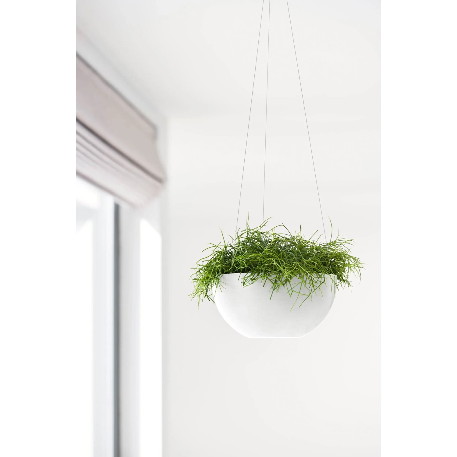 Ecopots Blumenampel Brussels Wei 26,5 cm x 13 cm kaufen bei OBI