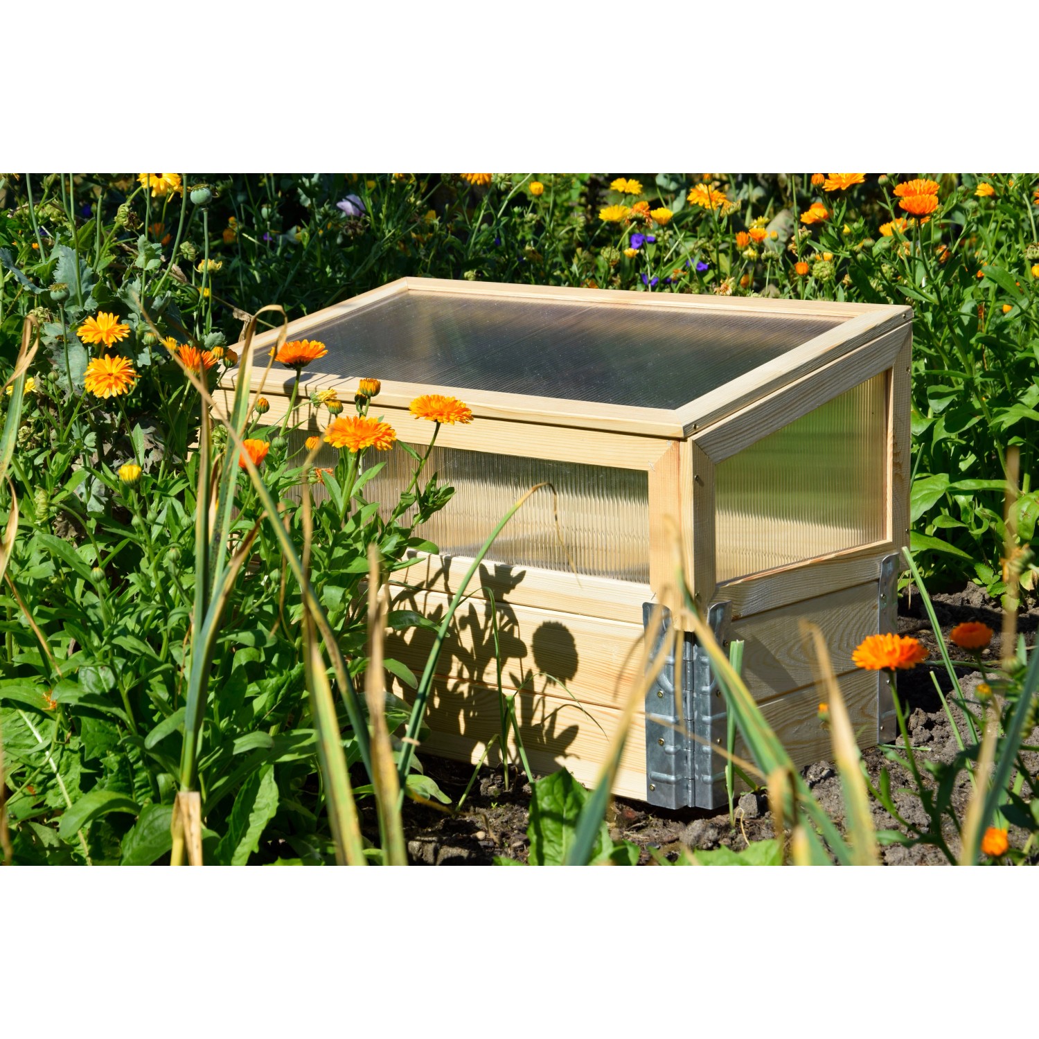 Frühbeet Pflanzbeet Größe M aus Holz mit Polycarbonat-Aufsatz im Garten.