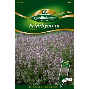 Quedlinburger Feld-Thymian Quendel Saatgut Packung mit blühendem Thymian. Kräutersamen für Duft- und Würzkraut.