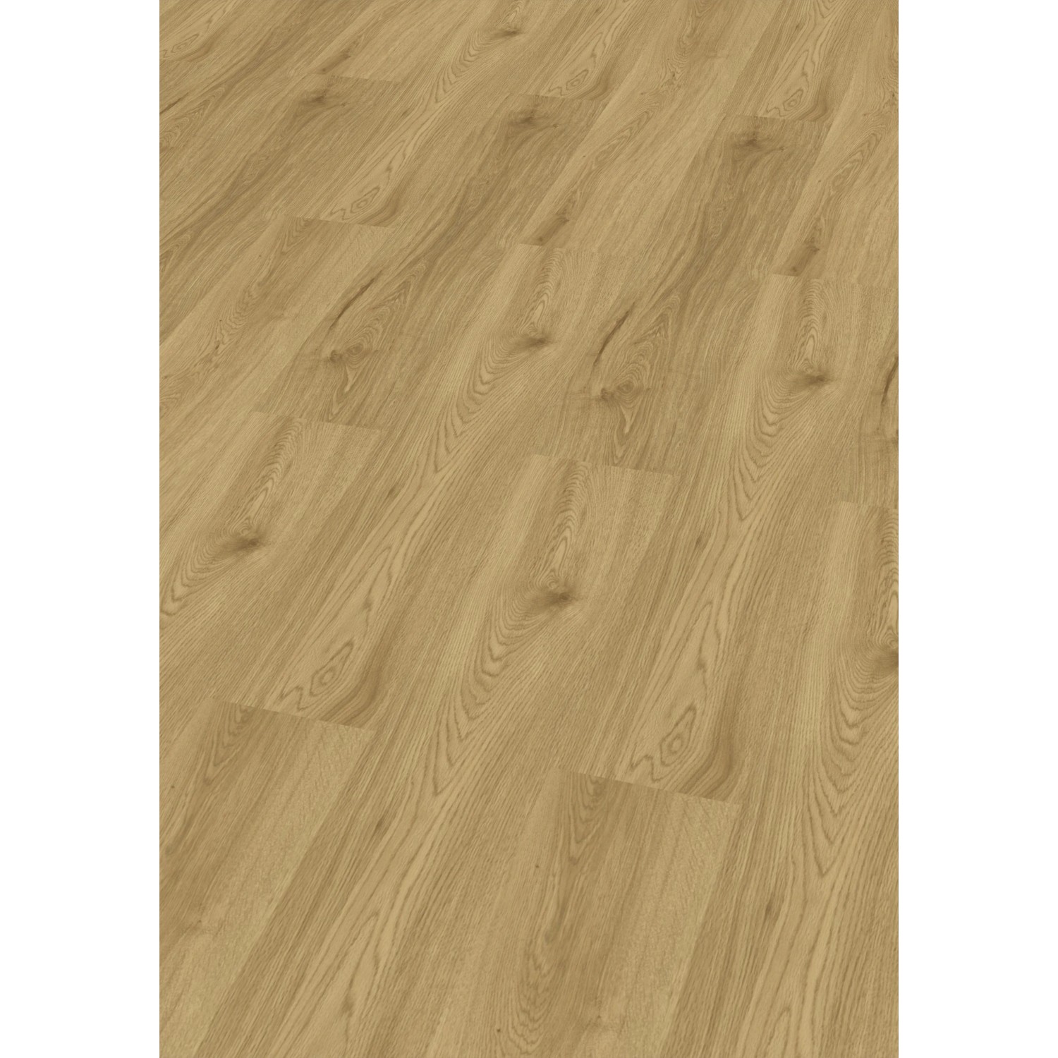 Check Click-Vinylboden PET Levitas Breitdiele inkl. Trittschall Eiche