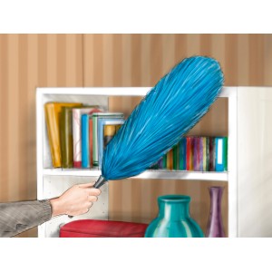 Hand mit blauem OBI Staubwedel (Mikrofaser) vor Bücherregal. Reinigungsgerät für Staub.