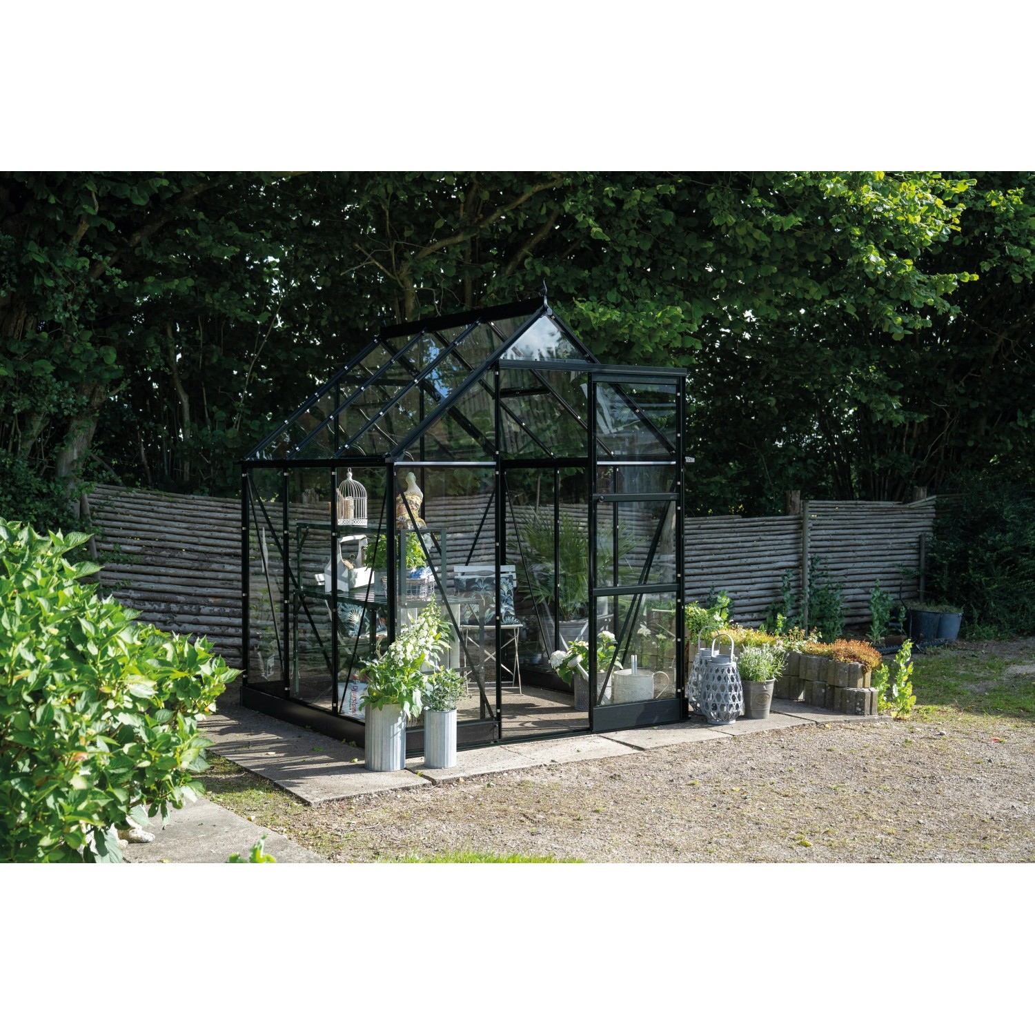 Halls Gewächshaus Icon 6 Schwarz 3,7 m²
