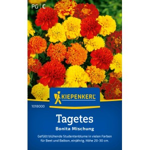 Kiepenkerl Tagetes Bonita-Mischung, mehrfarbige Studentenblumen für Beet und Balkon.