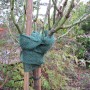 Grünes Videx Garden Deko-Juteband zum Schutz eines Baumstamms vor Frost und Sonne.