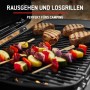 Weber Gasgrill Traveler Compact: Grill mit Steaks und Gemüsespießen. Ideal für Camping.