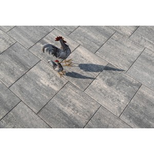 Diephaus Terrassenplatte Corso Graphit, 60x60x4 cm, mit zwei Deko-Hähnen auf verlegter Fläche.