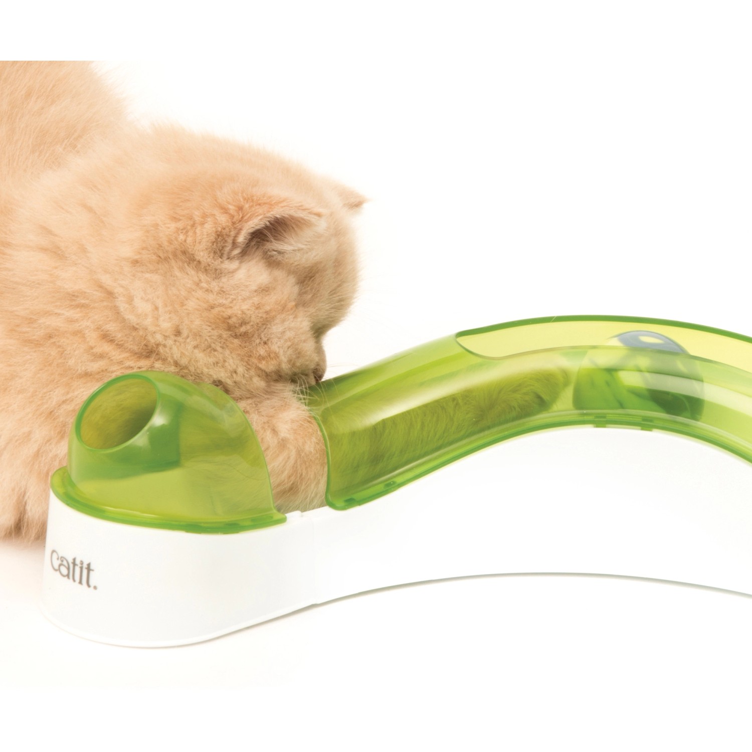 Katze spielt mit Catit Senses 2.0 Spielschiene Super, einem Intelligenzspielzeug in Grün und Weiß.