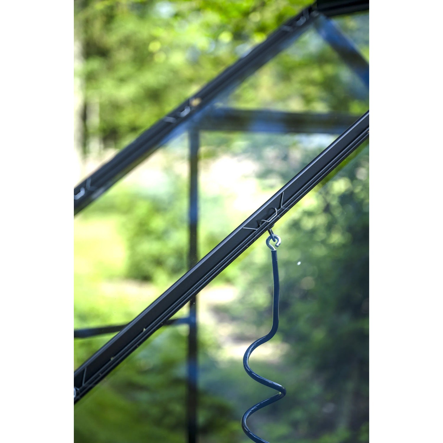Detailaufnahme: Schwarzes Halls Gewächshaus Popular 106 mit Sicherheitsglas und Aluminiumrahmen.