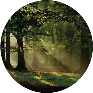 Runde, selbstklebende Tapete mit Waldlandschaft in Grün, Durchmesser 70 cm.