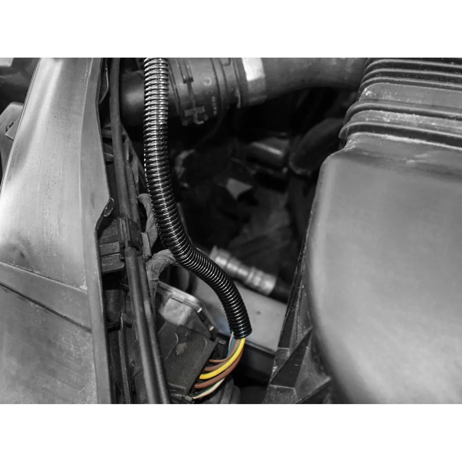 Las Marderschutzschlauch am Kabel im Motorraum, Marderschutz für Auto & Wohnmobil.