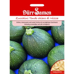 Dürr Samen Zucchini Tondo Chiaro Di Nizza: Saatgut für runde, hellgrüne Zucchini.