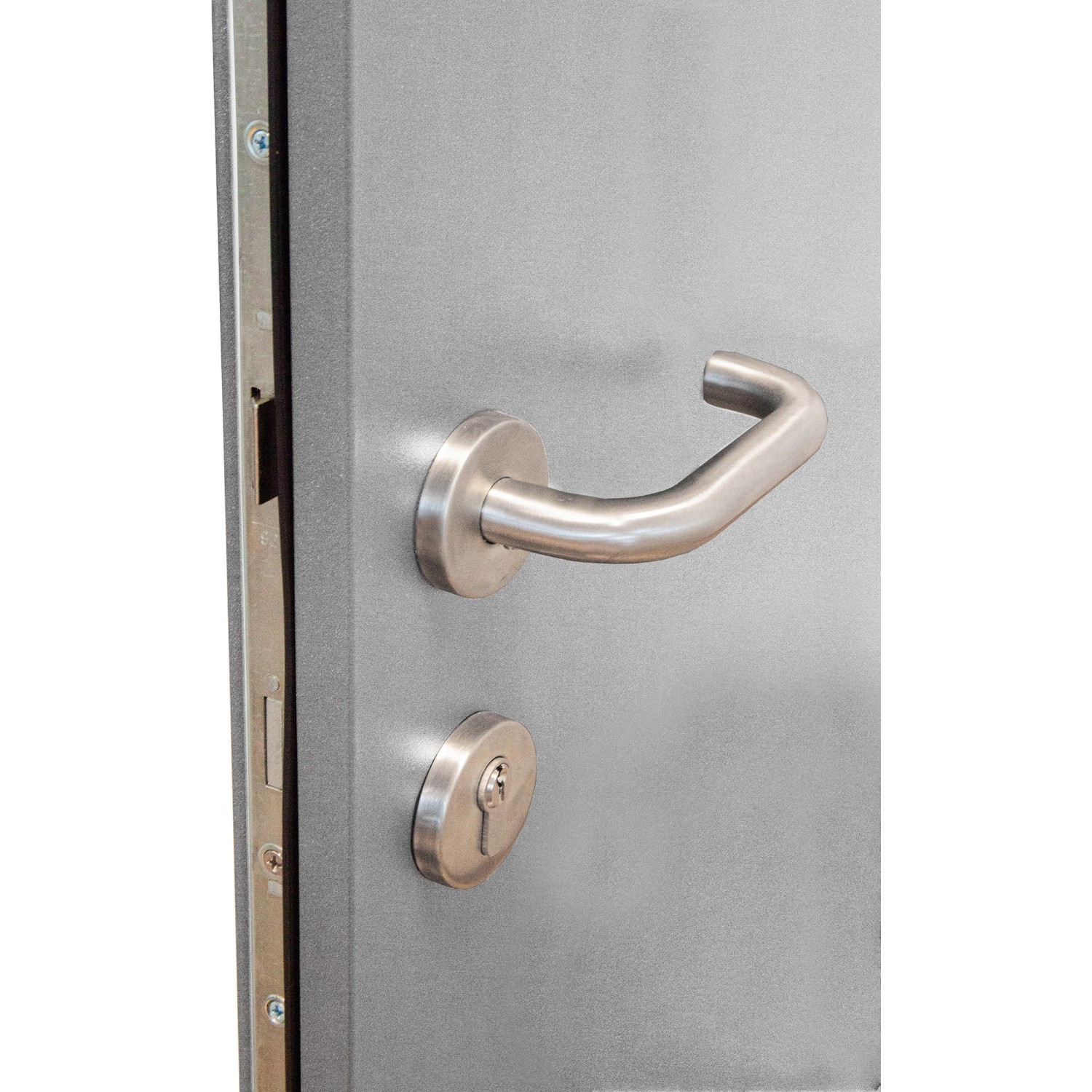 Detailaufnahme: Graue Splendoor Haustür Berlin Prime mit Edelstahl-Drücker und Schloss.