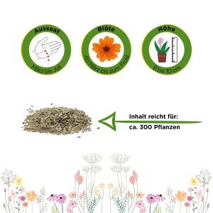 Gänseblümchen Samen: Aussaat März-Juli, Blüte ab März, Höhe 8-10cm, Inhalt reicht für ca. 300 Pflanzen.