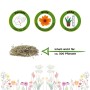 Gänseblümchen Samen: Aussaat März-Juli, Blüte ab März, Höhe 8-10cm, Inhalt reicht für ca. 300 Pflanzen.