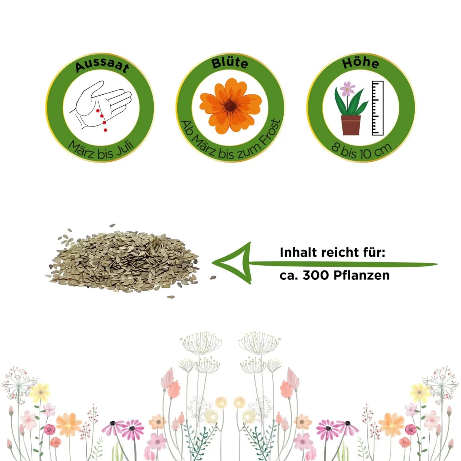 Gänseblümchen Samen: Aussaat März-Juli, Blüte ab März, Höhe 8-10cm, Inhalt reicht für ca. 300 Pflanzen.