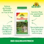 Neudorff Bio-Baumanstrich 2 l: Weißer Anstrich für Obstbäume und Sträucher im Garten.