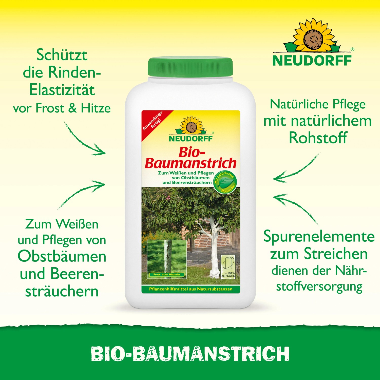 Neudorff Bio-Baumanstrich 2 l: Weißer Anstrich für Obstbäume und Sträucher im Garten.