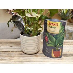 Seramis Topper Dark Shadow wird in einen Topf mit Pflanze gefüllt, Packung im Hintergrund.