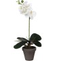 Weiße Kunstpflanze Phalaenopsis im Topf, 48cm hoch. Dekorative Orchidee für Innenräume.