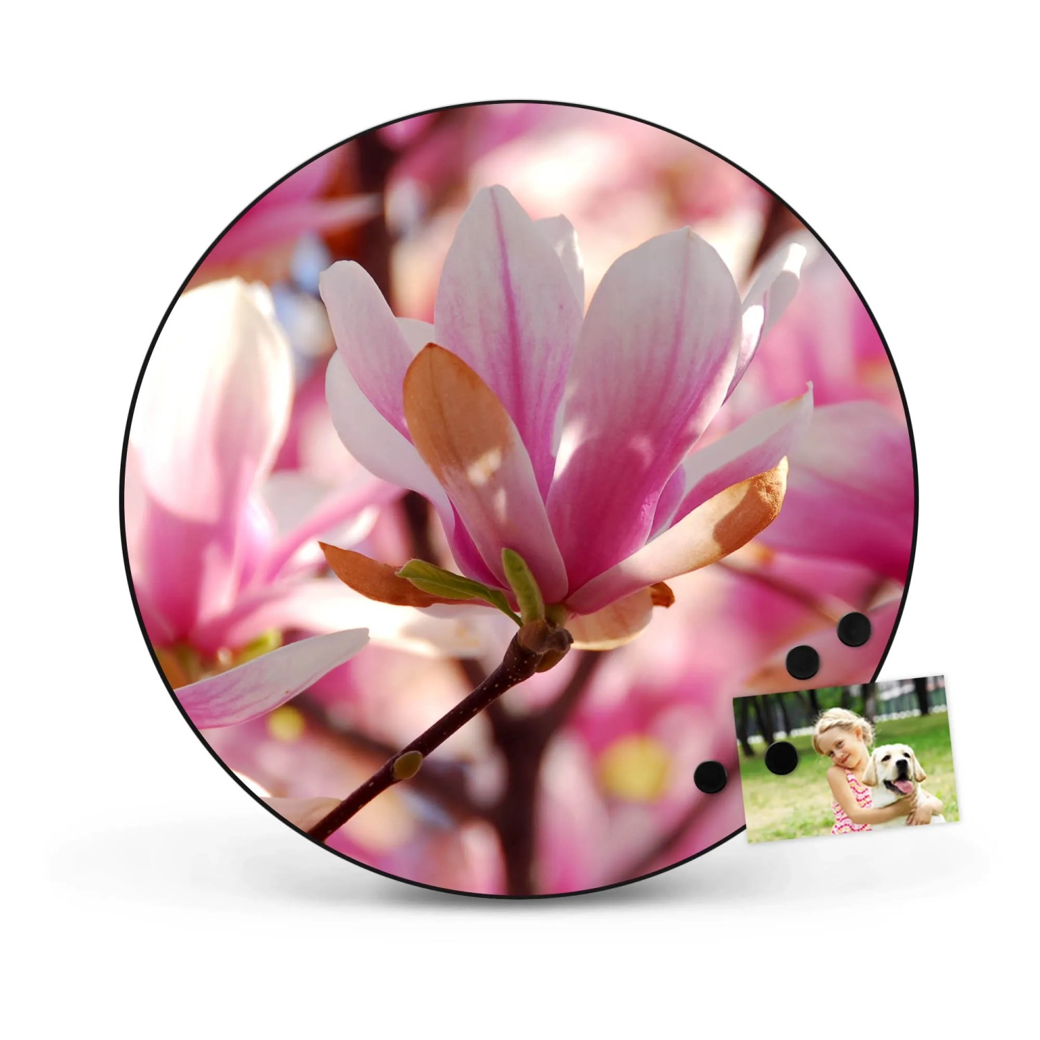 Runde, schwarze Magnettafel (47cm) mit Magnolien-Motiv. Wanddekoration, Pinnwand für Notizen und Fotos.