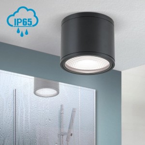 Schwarzer Orion LED Deckenaufbaustrahler, IP65, leuchtet warmweiß im modernen Badezimmer mit Dusche.