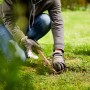 Person bereitet mit einem Handgerät den Boden für die Compo Saat Rasen-Nachsaat vor.
