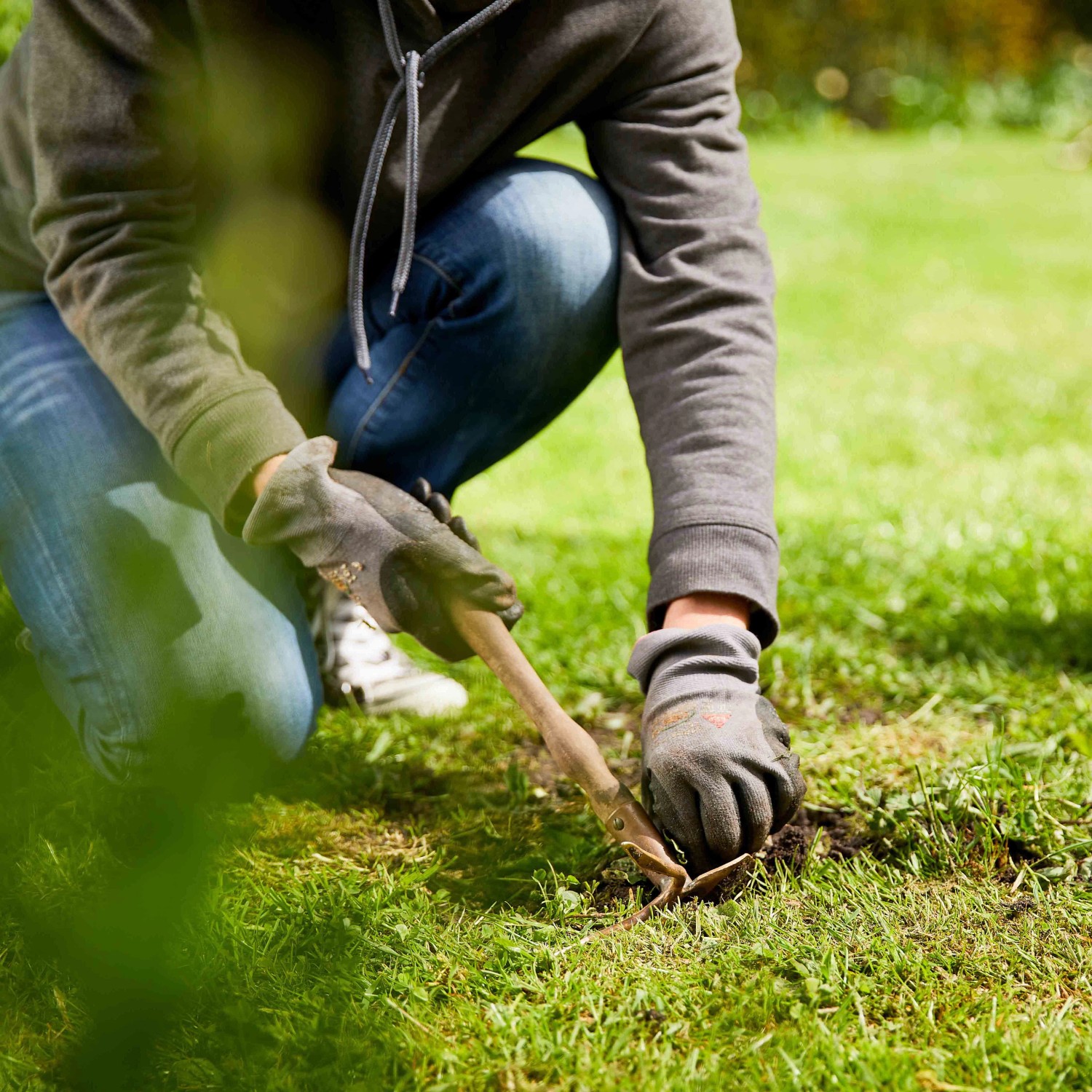 Person bereitet mit einem Handgerät den Boden für die Compo Saat Rasen-Nachsaat vor.