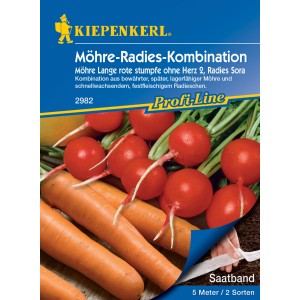 Kiepenkerl Saatband mit Möhren und Radieschen. Gemüse-Saatband für eine einfache Aussaat im Garten.