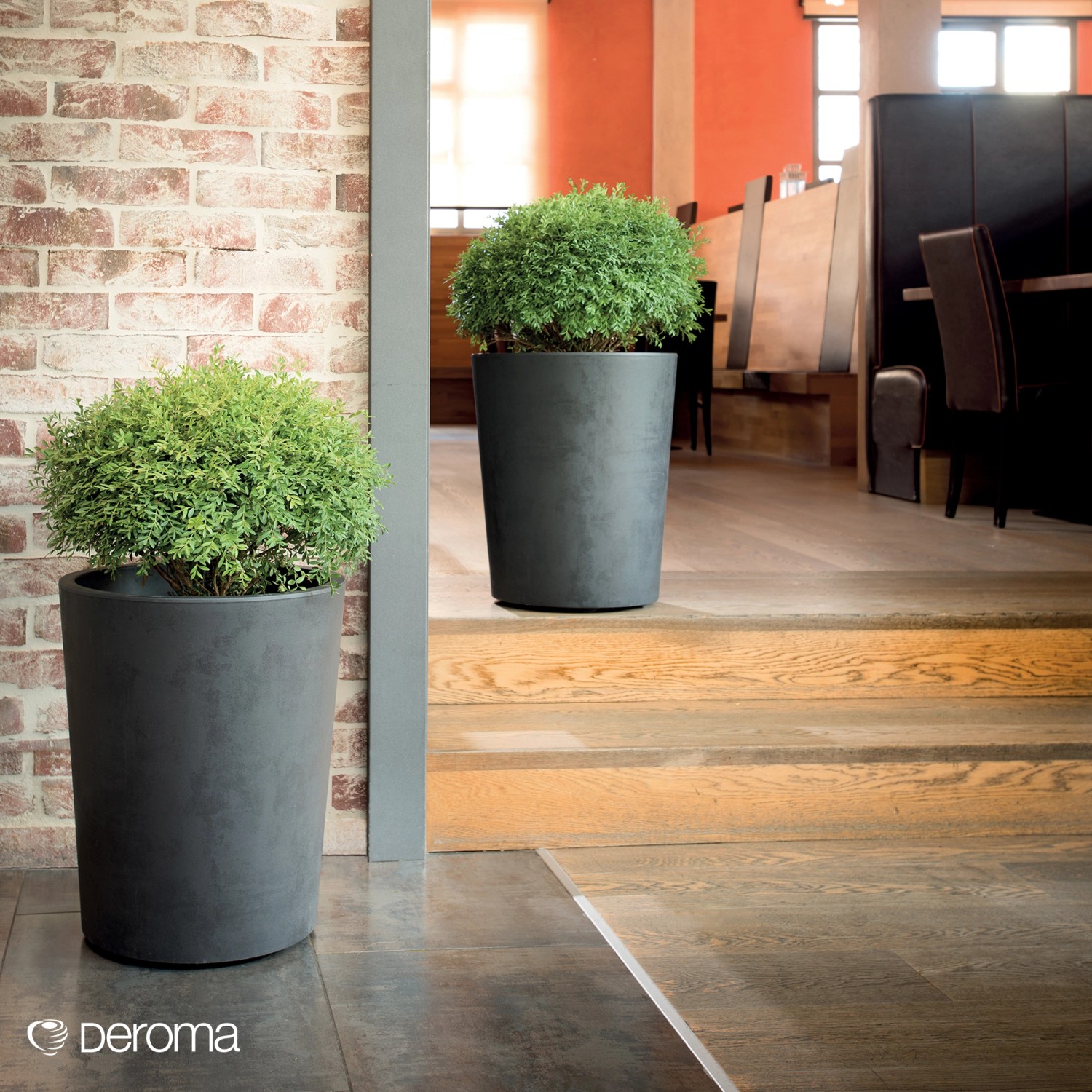 Anthrazitfarbener Deroma Pflanztopf Millennium, Ø 44 cm, Höhe 54 cm, mit Bepflanzung.