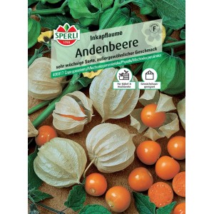 Samenpackung Andenbeere (Physalis peruviana) mit reifen, orangefarbenen Früchten und grünen Blättern.