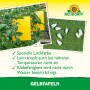 Neudorff Gelbtafeln groß zur Schädlingsbekämpfung an Pflanzen im Gewächshaus und Wintergarten.