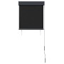 Anthrazitfarbenes vidaXL Außenrollo, 60x250 cm, für Balkon & Terrasse.