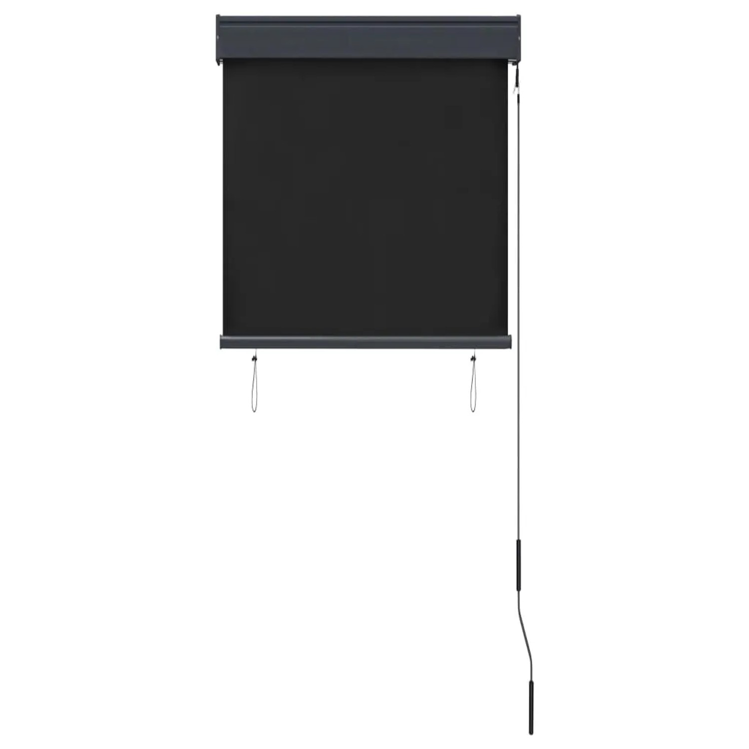 Anthrazitfarbenes vidaXL Außenrollo, 60x250 cm, für Balkon & Terrasse.