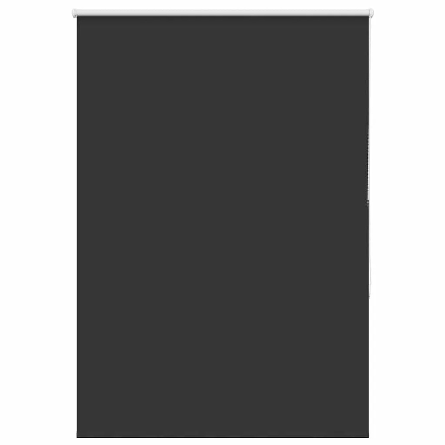 vidaXL Verdunkelungsrollo Schwarz 100x130 cm Stoffbreite 95,7cm 4010842 günstig online kaufen